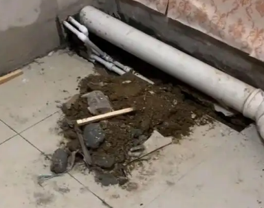 新邵卫生间漏水检测哪家好
