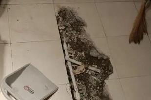 新邵卫生间漏水检测电话